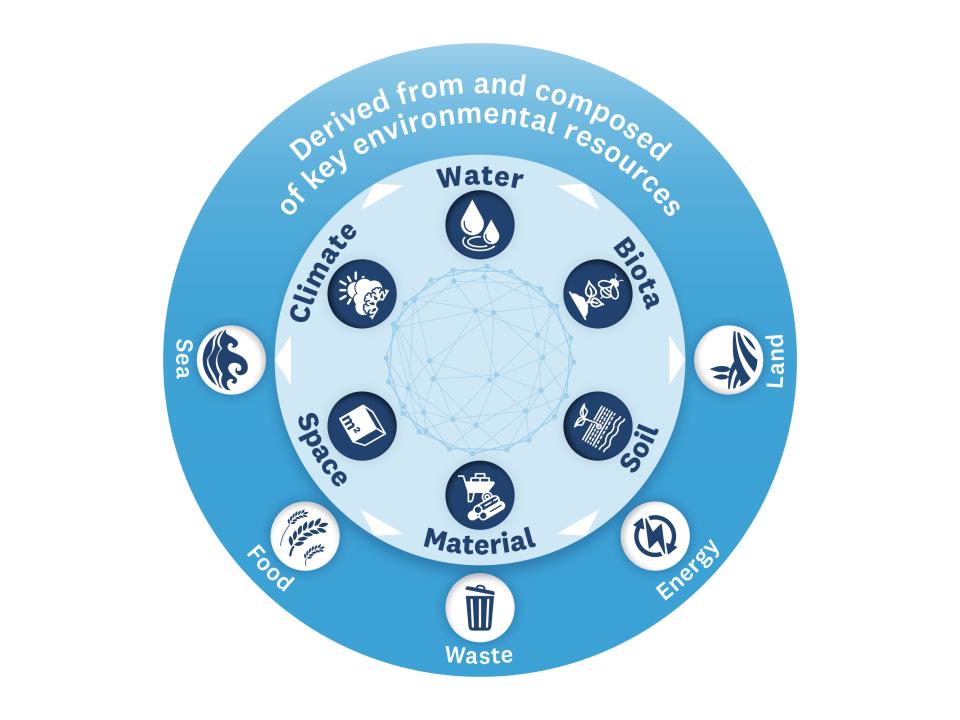 Nexus Approach Graphic illustration