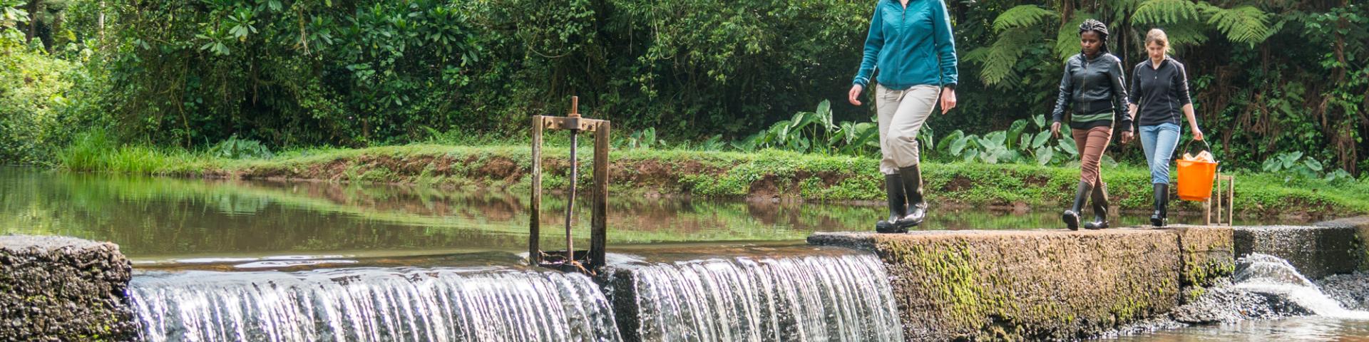 Forest Water Monitoring Station, Southwest Mau Forest