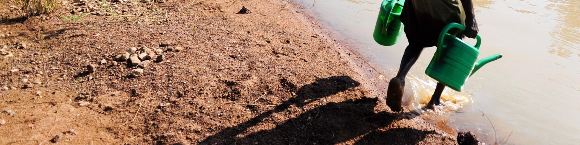 A farmer in Ghana's Upper West Region collects water from a river near his vegetable plot. 