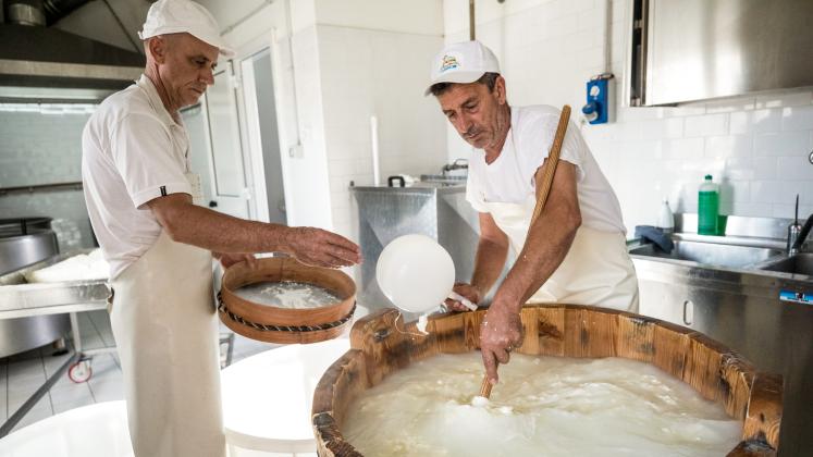 Mozzarella cheese makers in Monterotondo, Rome, Italy. 