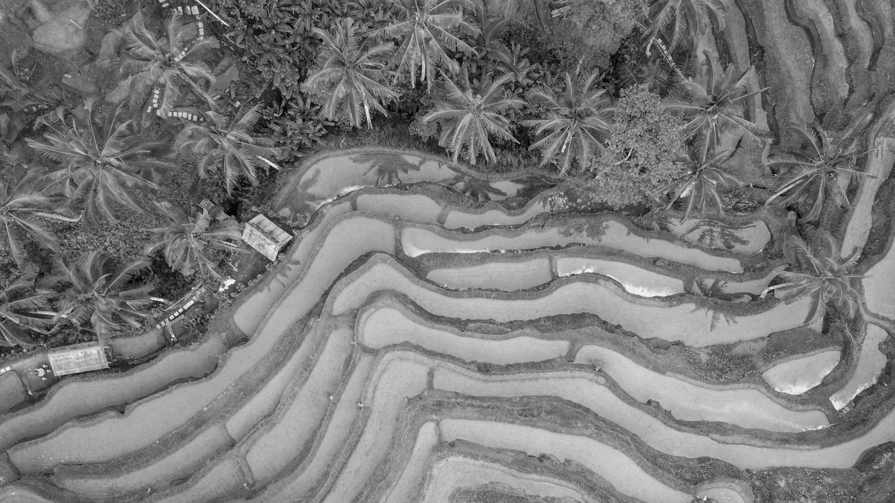 Experts Header Photo