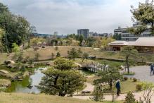 Kanazawa City urban garden