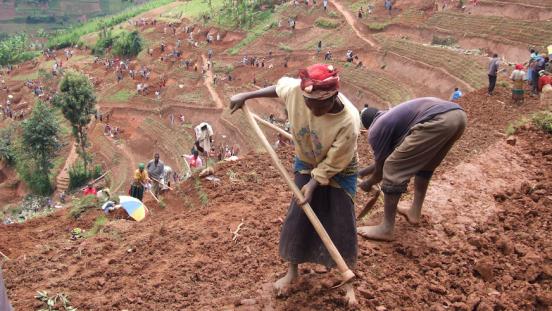 Working Together for Everyone’s Well-being: The Satoyama Initiative and Building Back Better