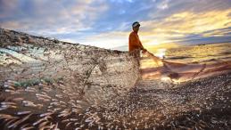 A fisherman pulls his net on the beach of Saint Martin's Island, Bangladesh