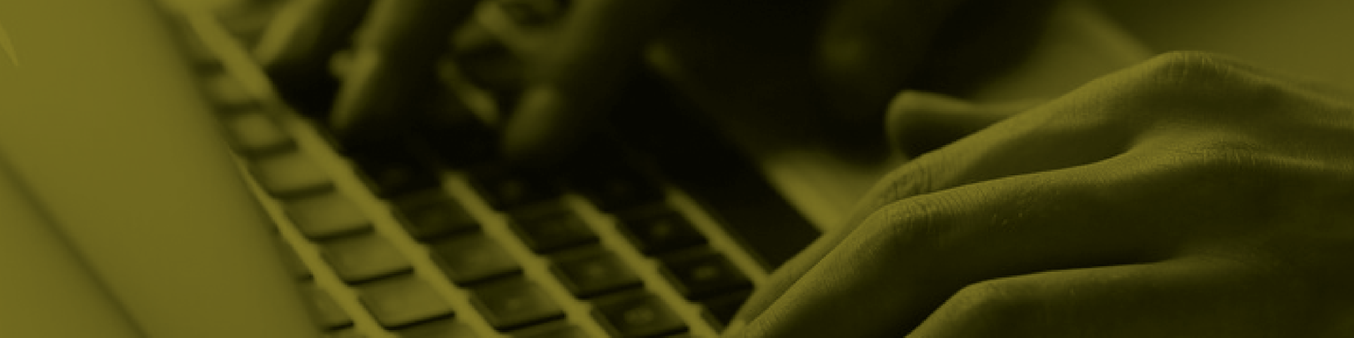 Banner_MNE_EGOV